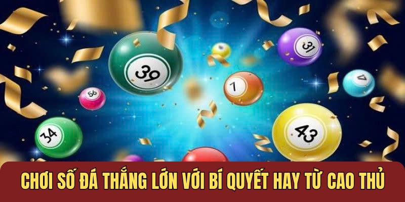 Chơi số đá thắng lớn với bí quyết hay từ cao thủ