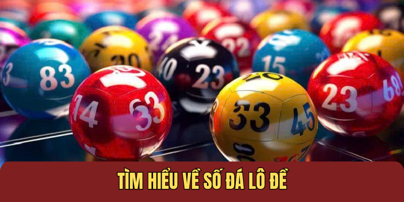 Tìm hiểu về số đá lô đề